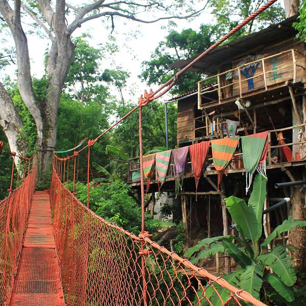 The Treehouse Hostel