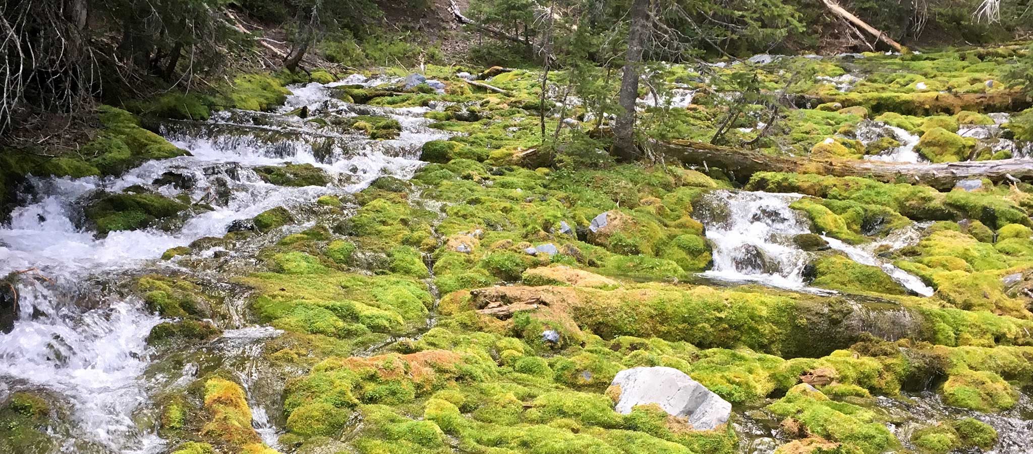 The beauty and the beast of Three Sisters Wilderness