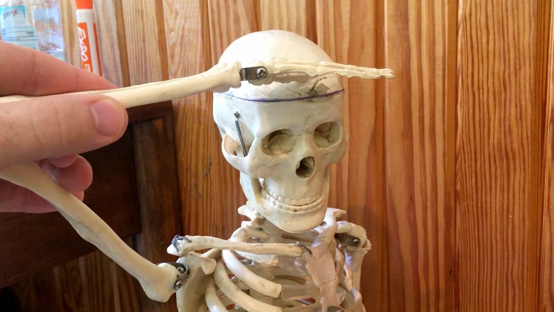 Mr Skeleton Head