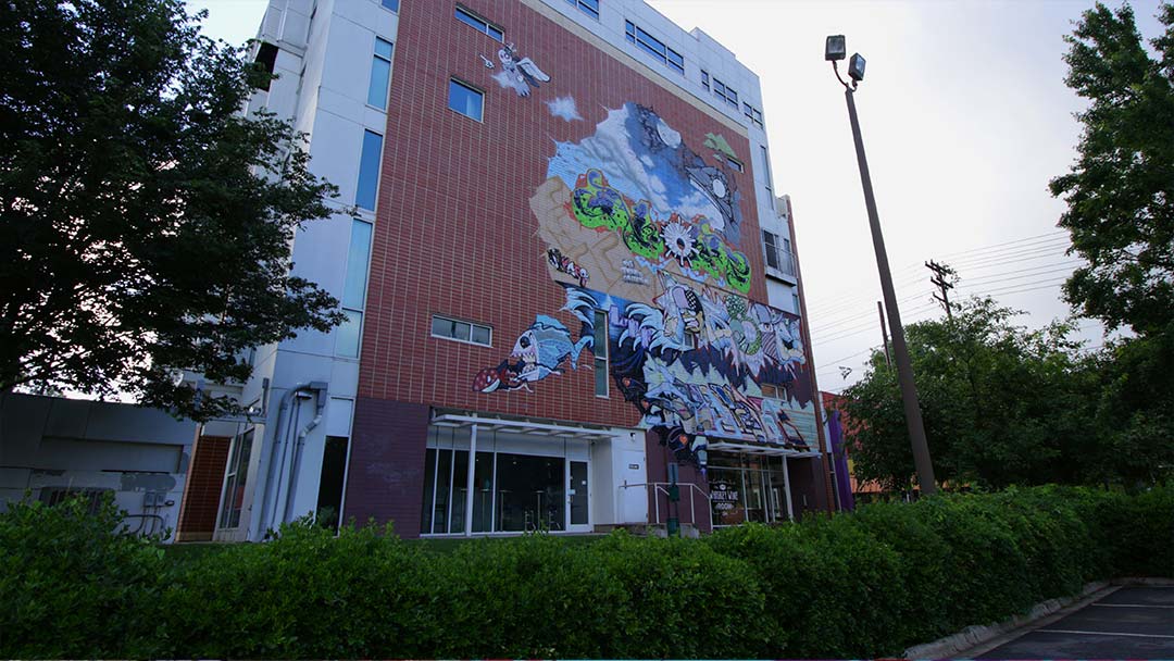 mural charlotte nc noda art graffiti