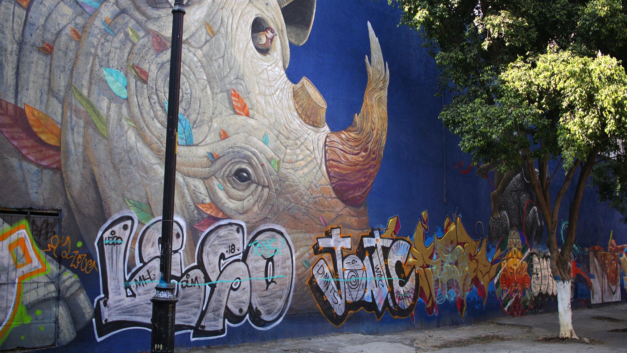 mexico city art mural graffiti