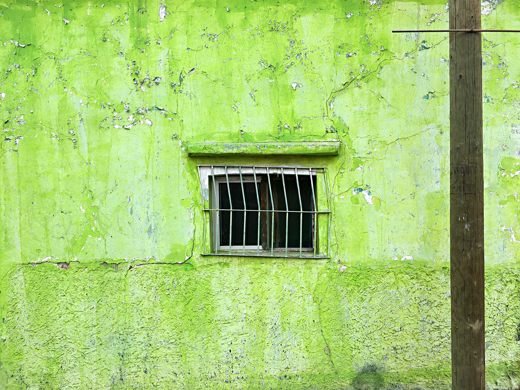 oaxaca mexico colors green