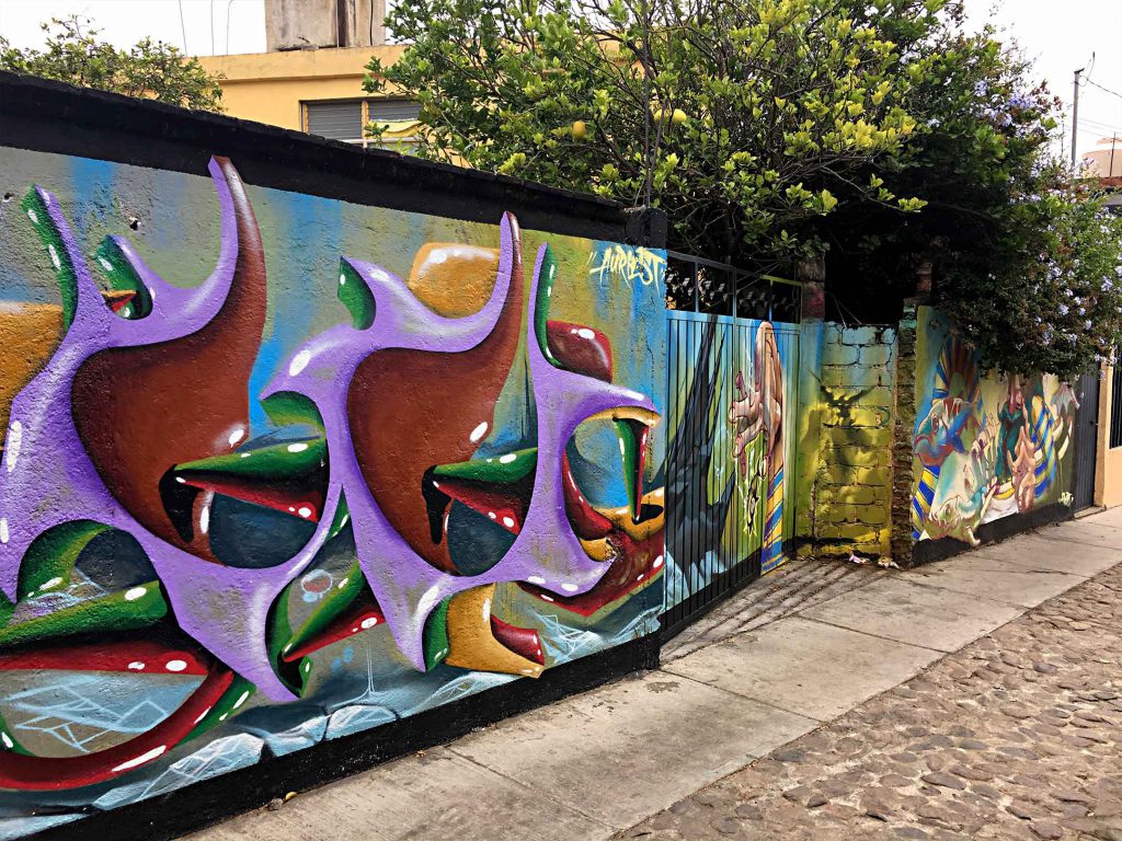 oaxaca, mexico murals and graffiti