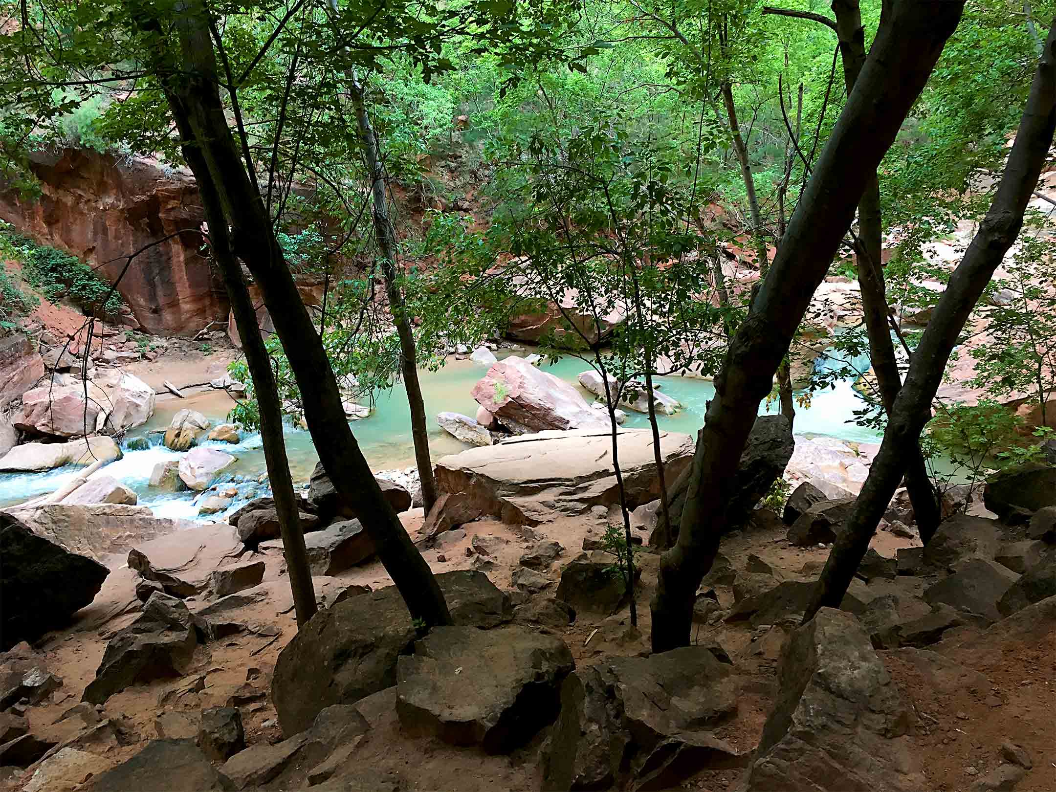 The Narrows Zion National Park virgin river blue water