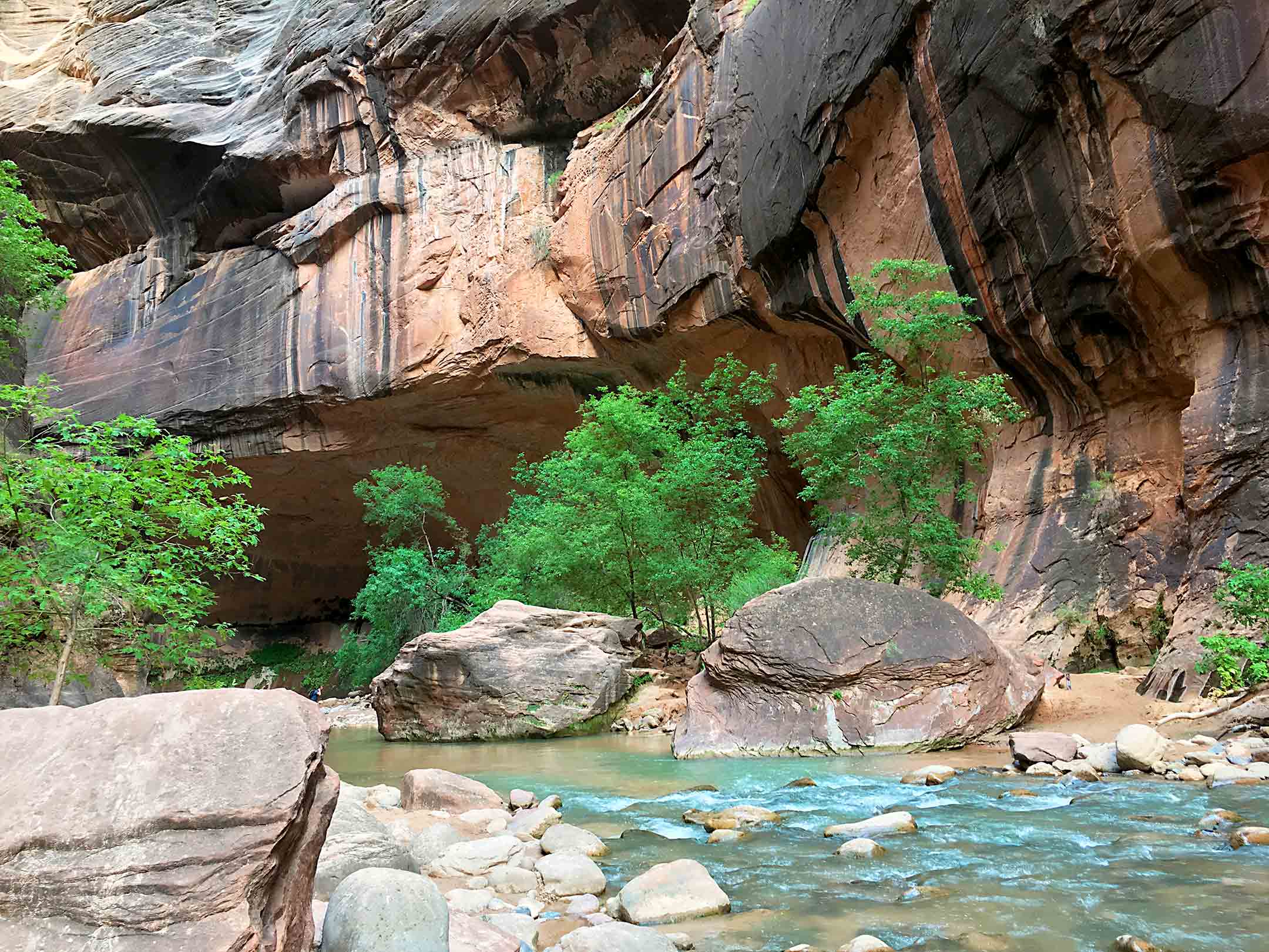 The Narrows Zion National Park virgin river blue water