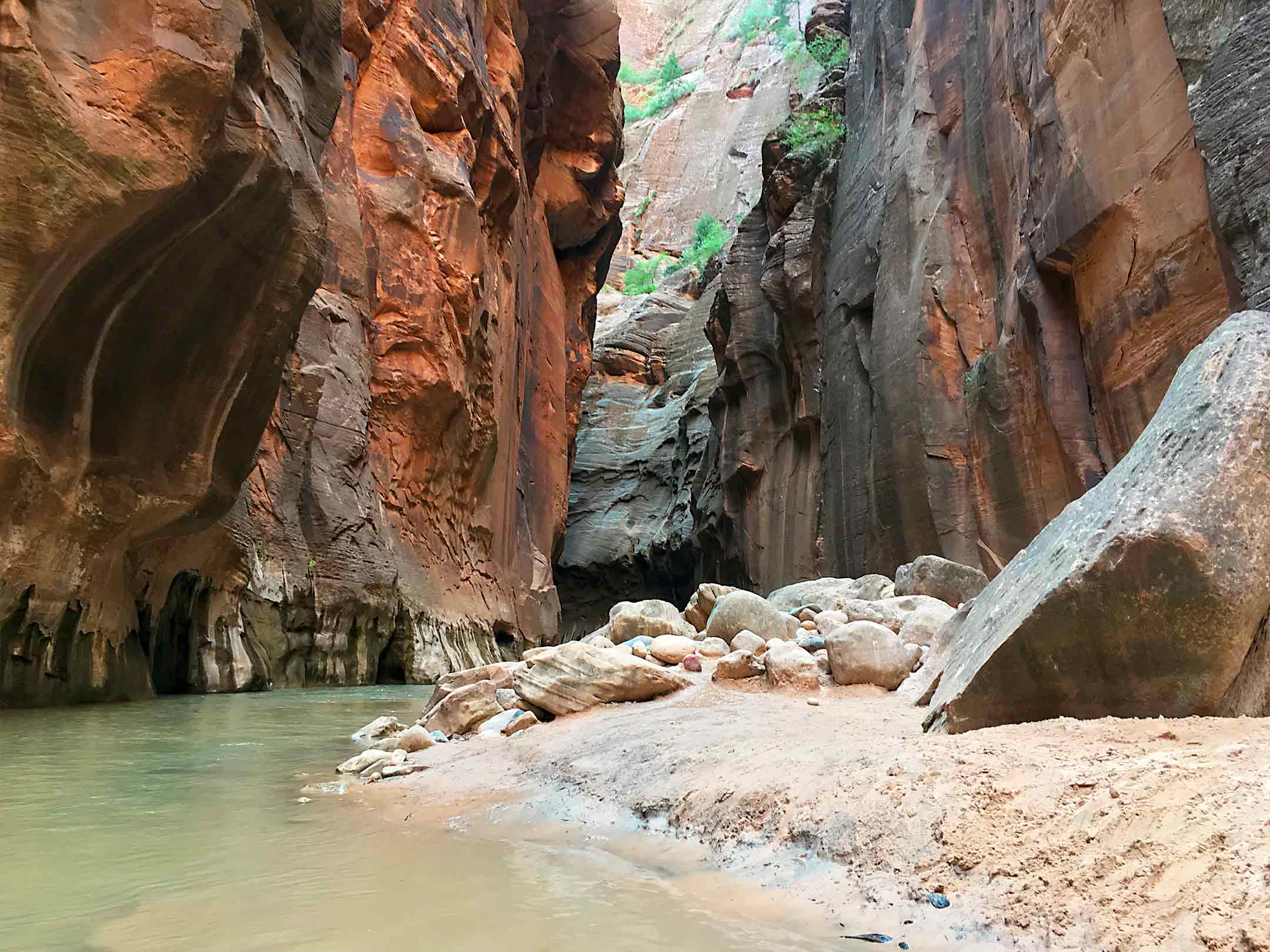 The Narrows Zion National Park narrow canyon