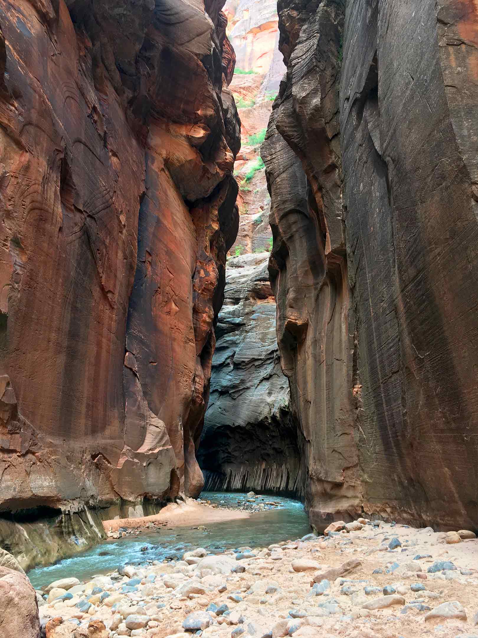 The Narrows Zion National Park narrow canyon