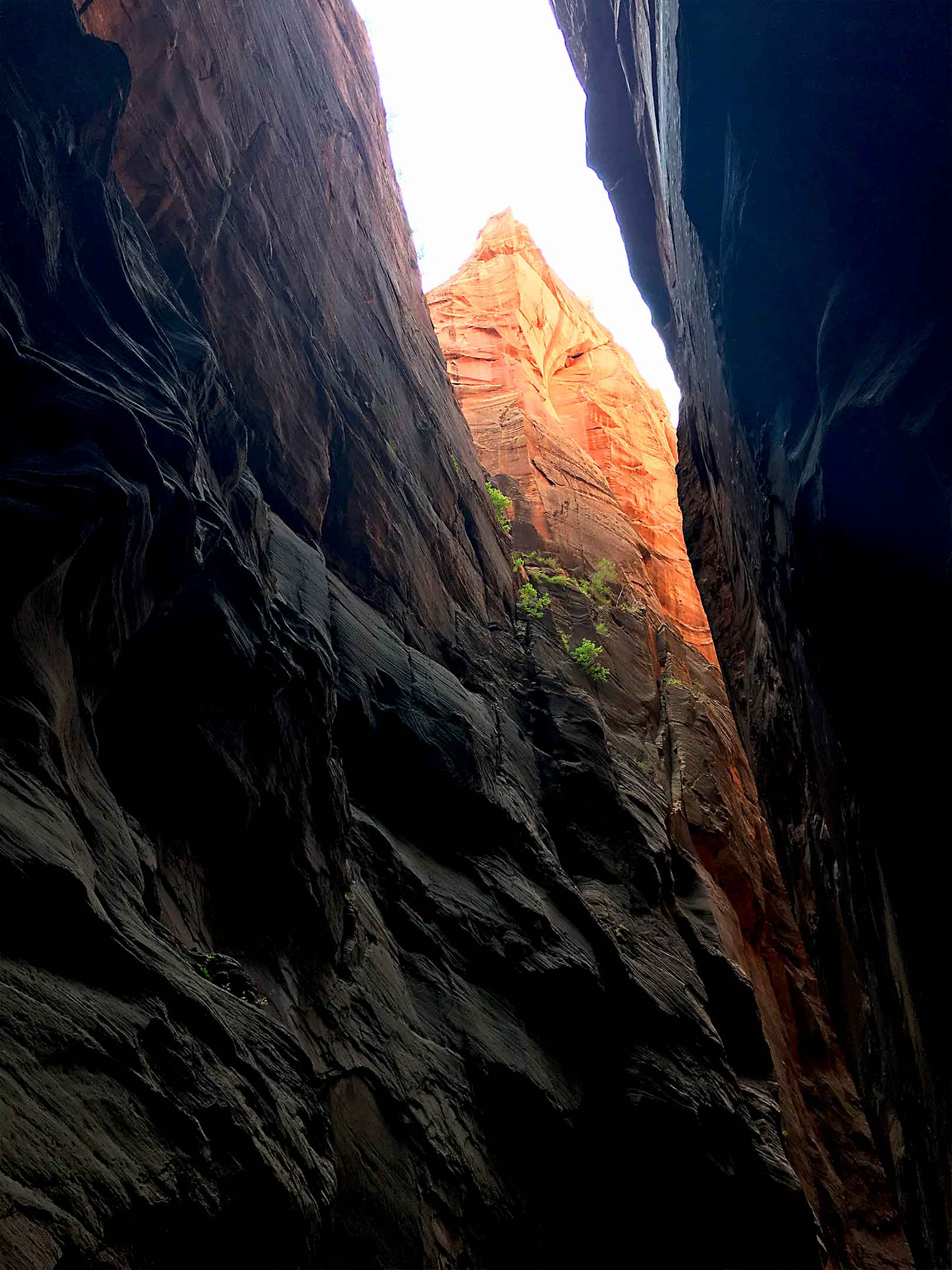 The Narrows Zion National Park Image