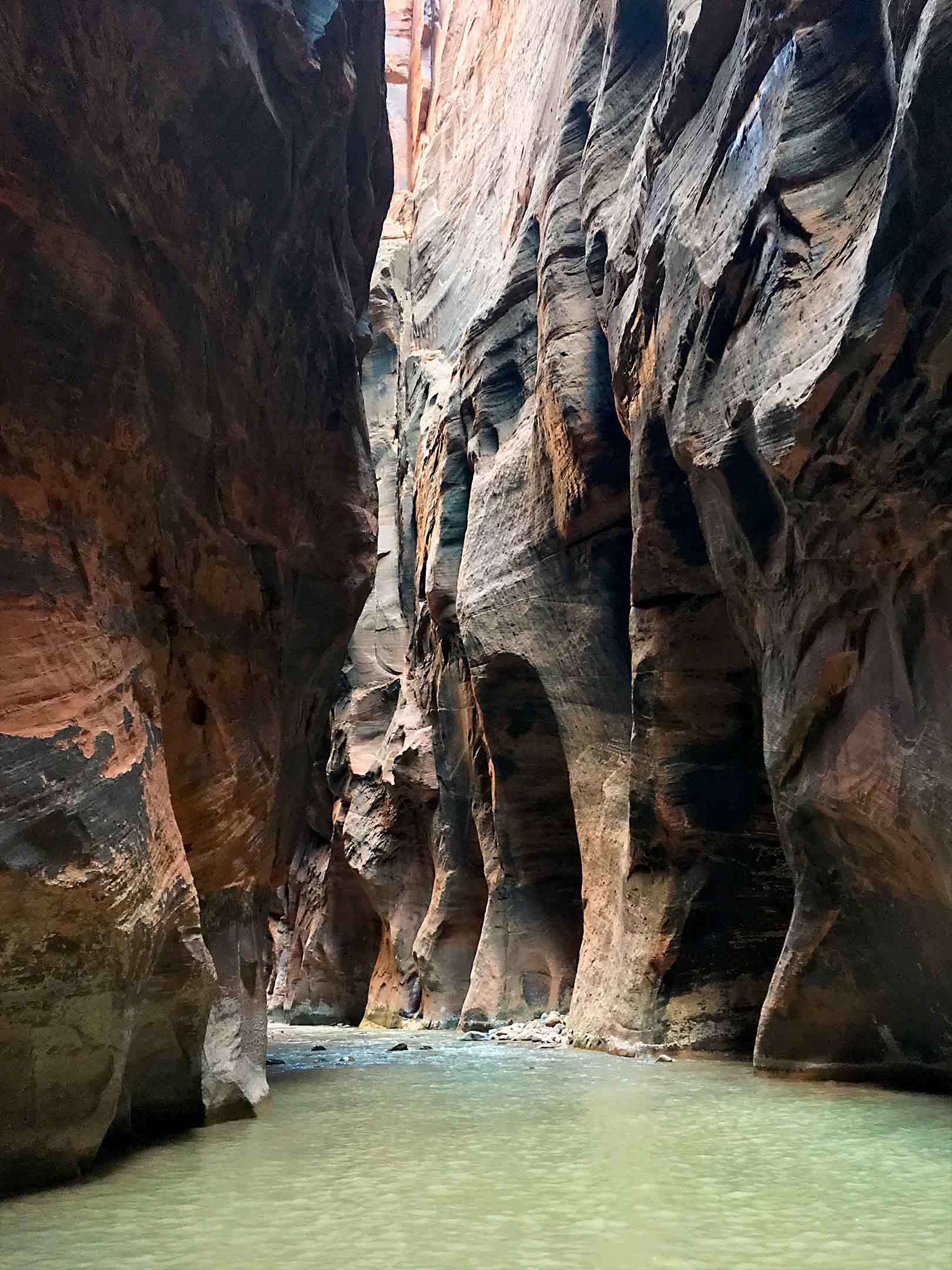 The Narrows Zion National Park Image