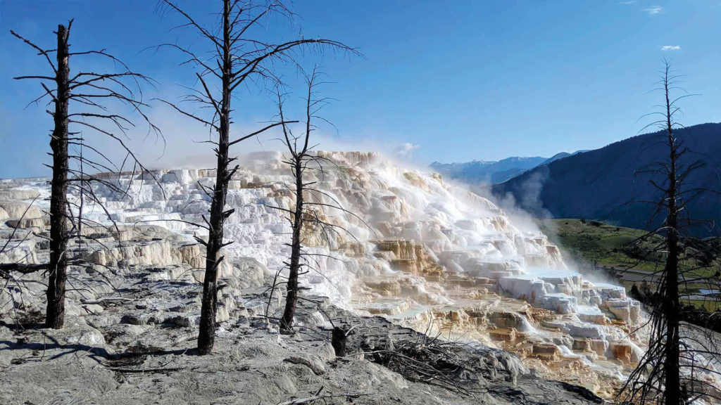 Mammoth Hot Springs Article Angel Terrace