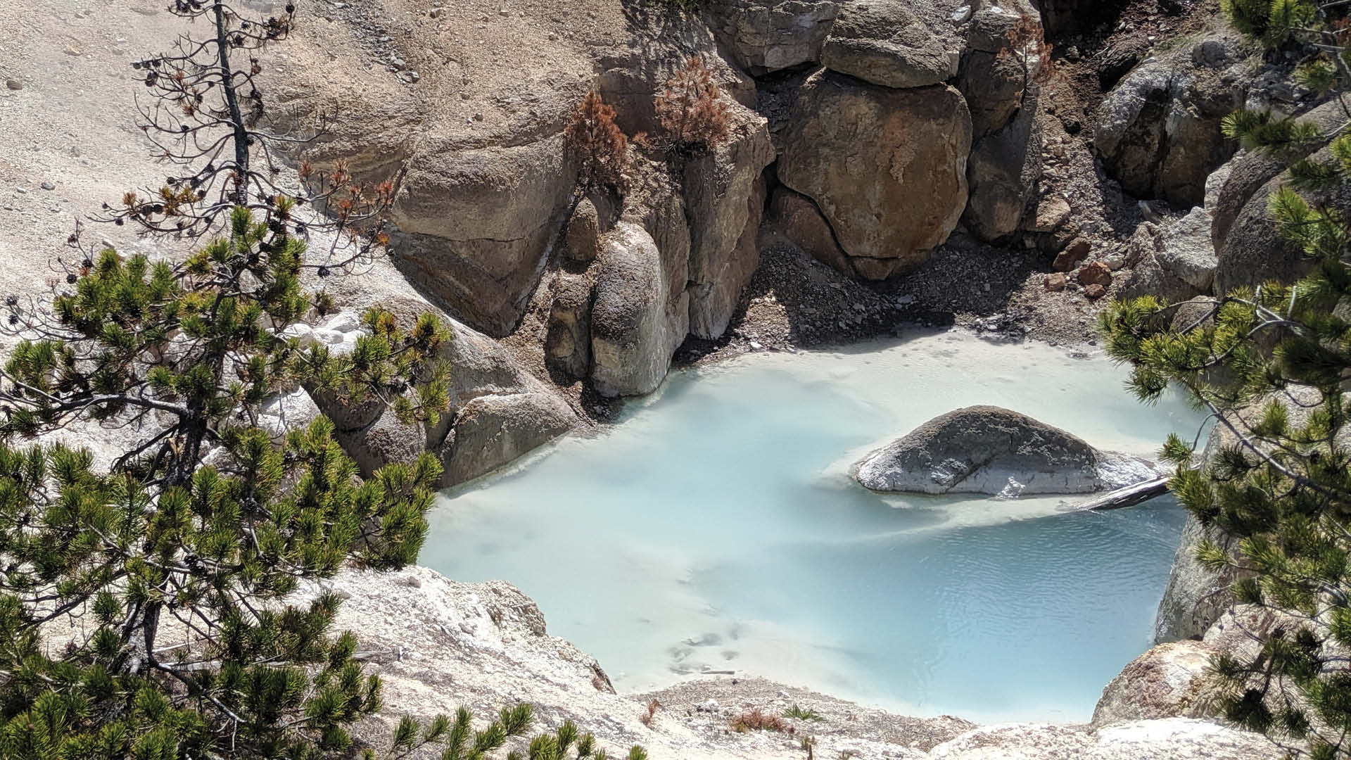 Norris Geyser Basin Article Cover Image