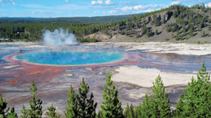 Old Faithful and Grand Prismatic Cover Image