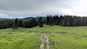 Yellowstone Wapiti Trail Countryside Image