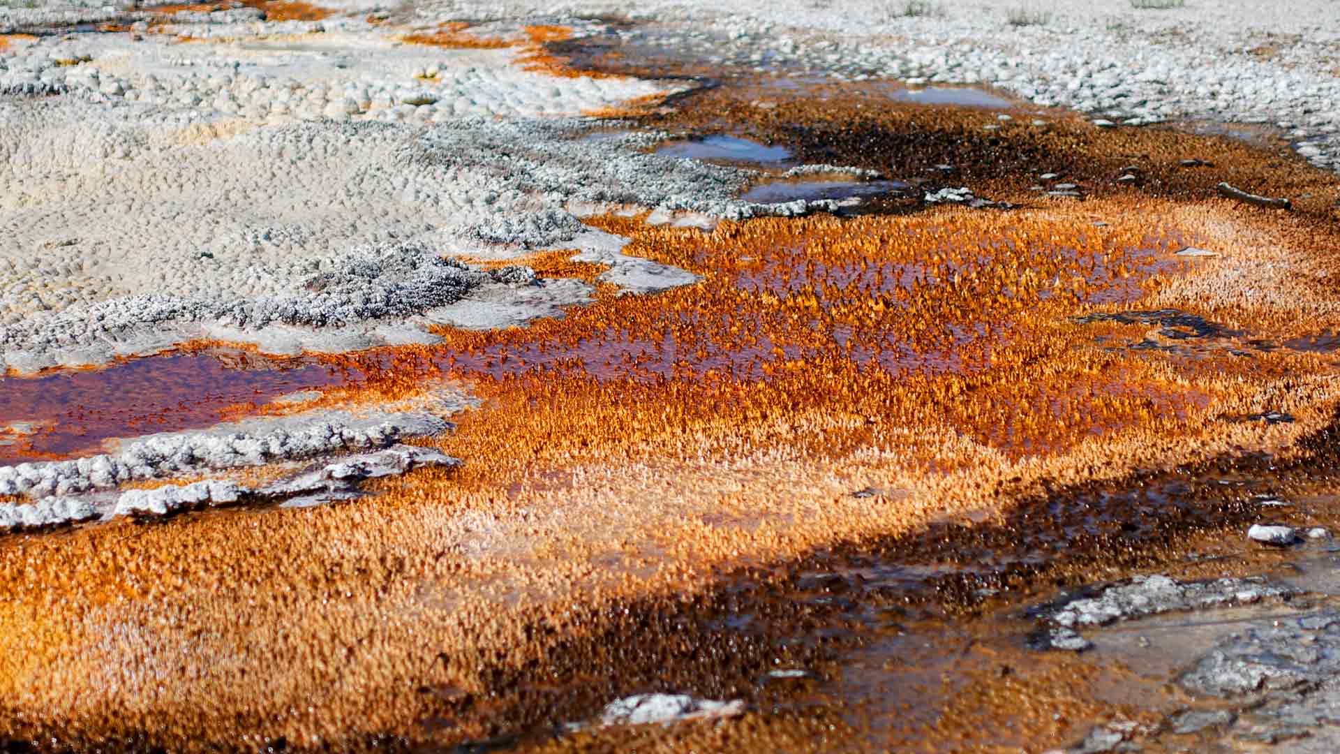 Yellowstone Old Faithful and Grand Prismatic