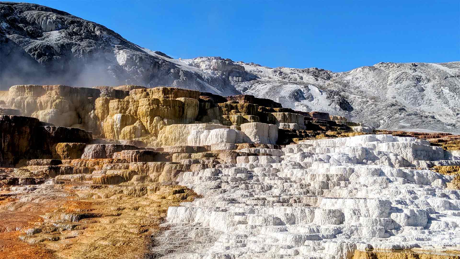 Mammoth Hot Springs Image