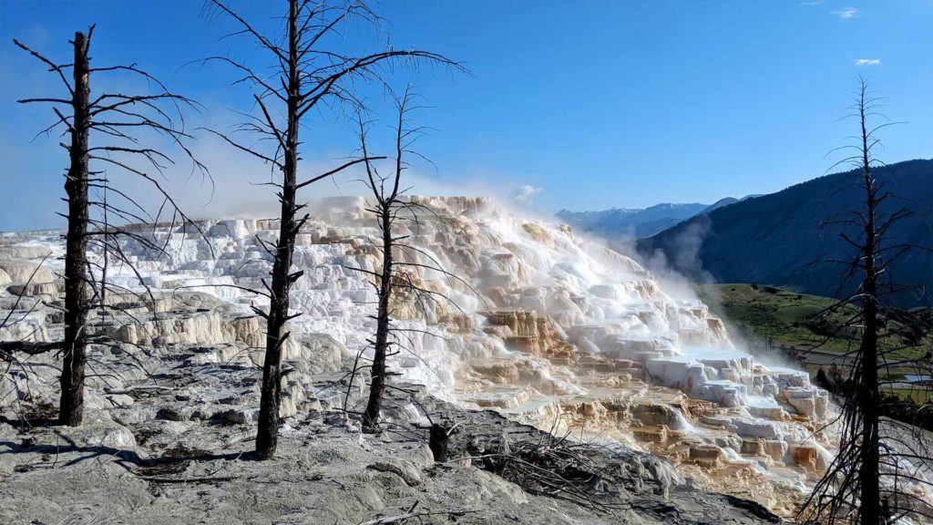 Mammoth Hot Springs Angel Terrace Image