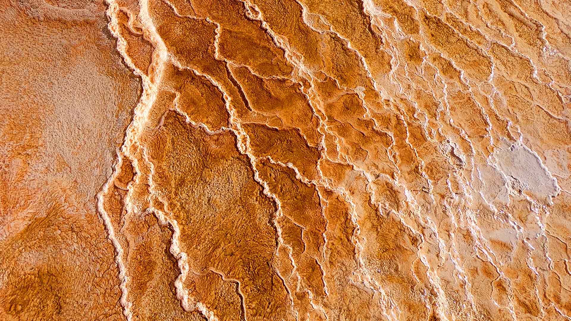 Mammoth Hot Springs close up Image