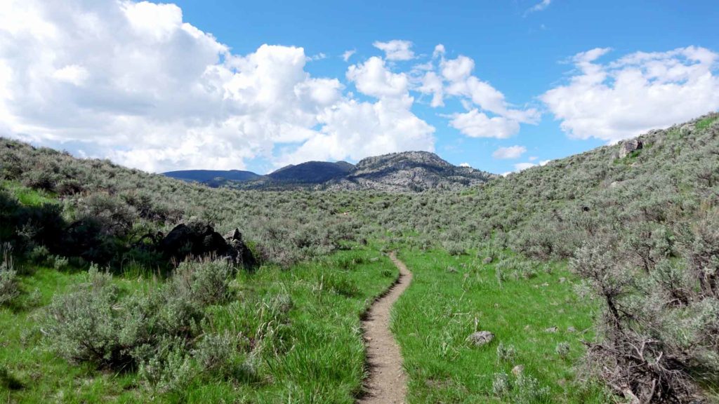 Mammoth Hot Springs Image hellraven creek hike