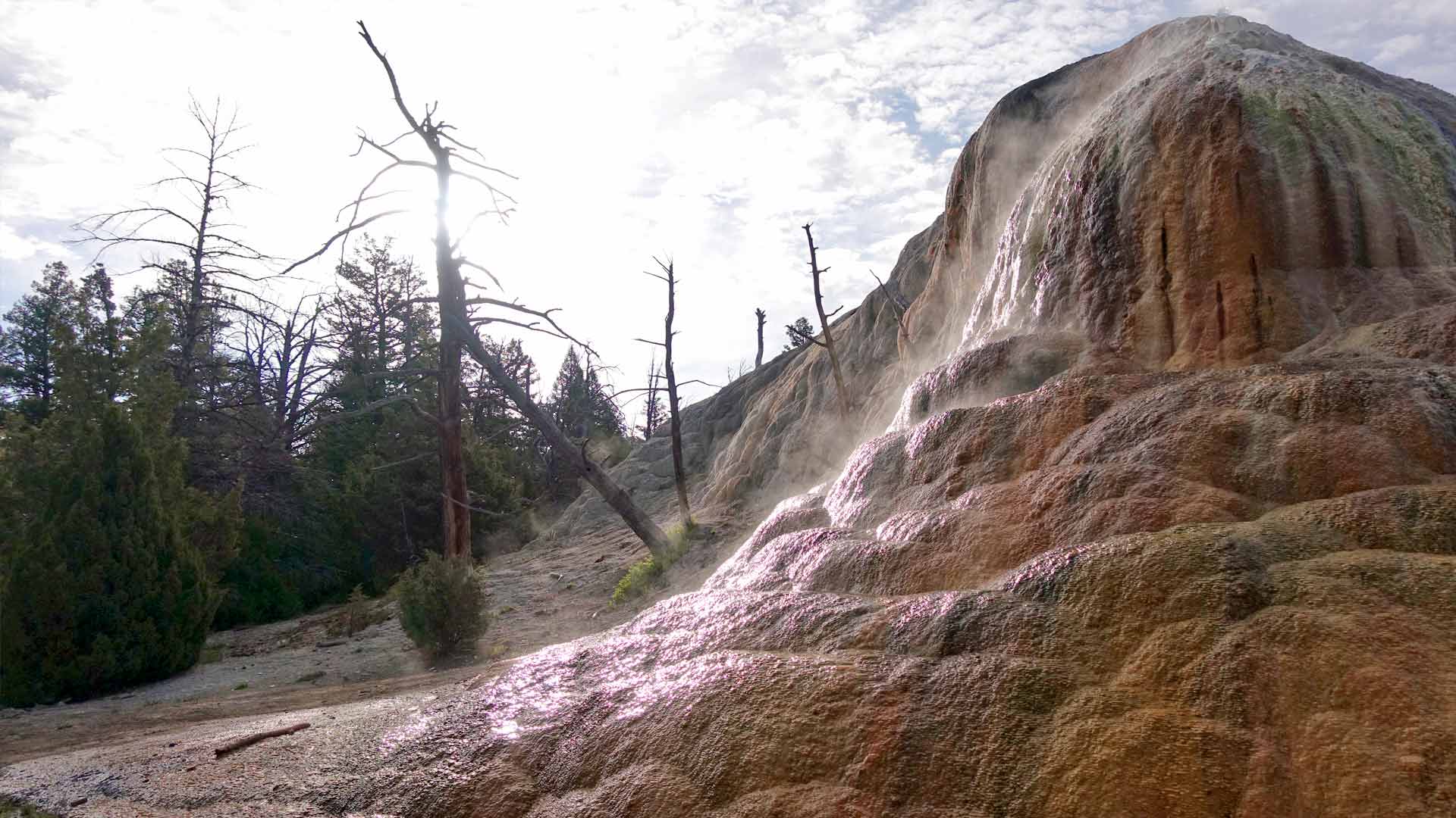 Mammoth Hot Springs Image