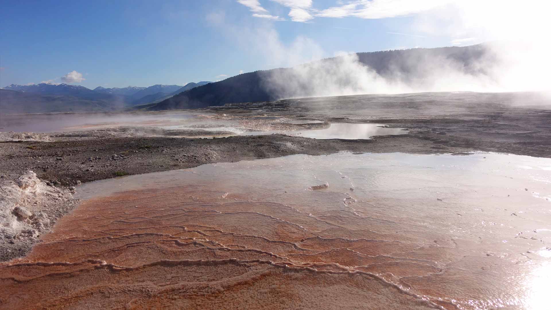 Mammoth Hot Springs Image