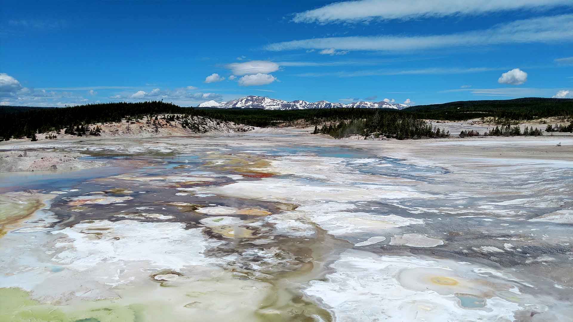 Yellowstone Norris Porcelain Basin Landscape