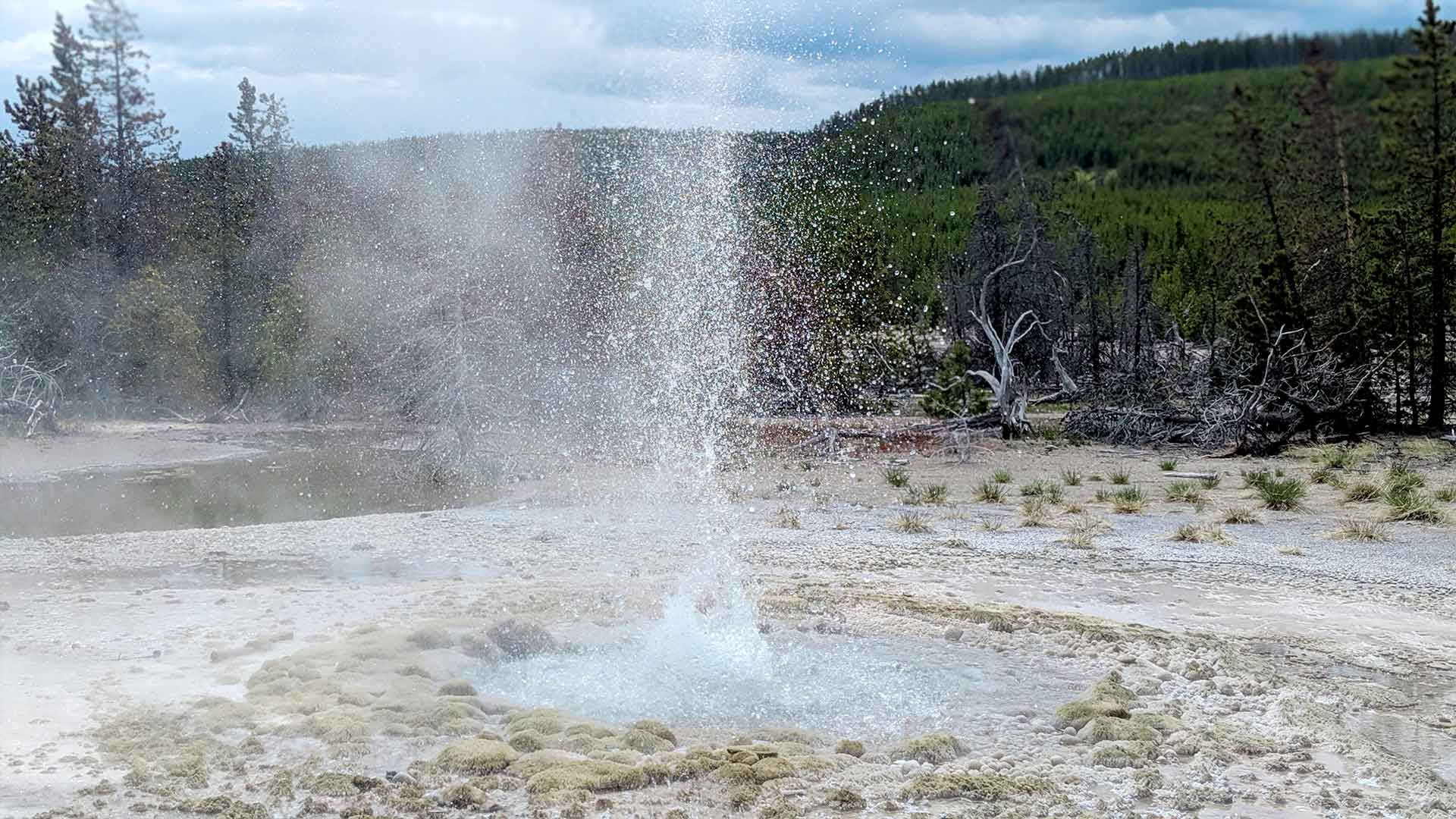 Yellowstone Norris geyser basin eruption