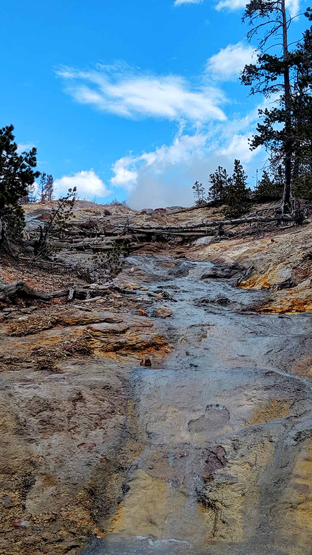 Yellowstone Norris geyser basin steamboat geyser