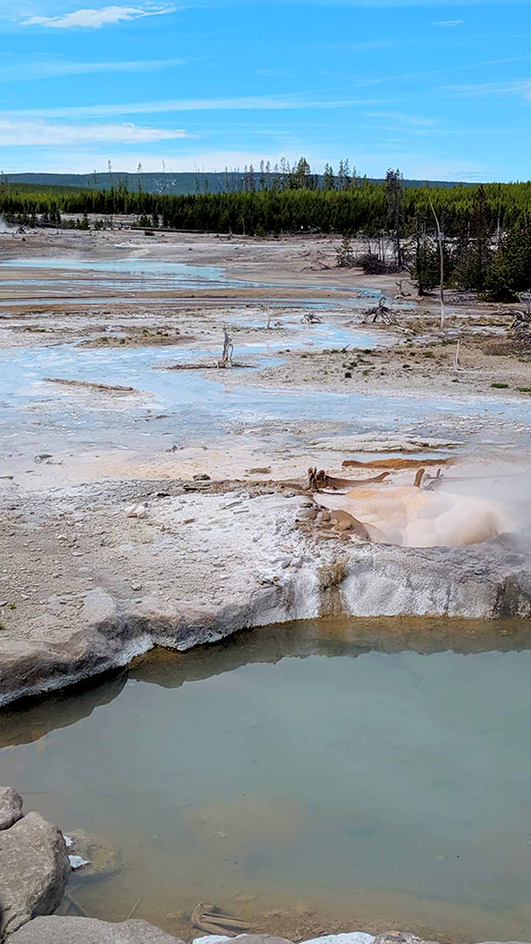 Yellowstone Norris geyser basin back basin