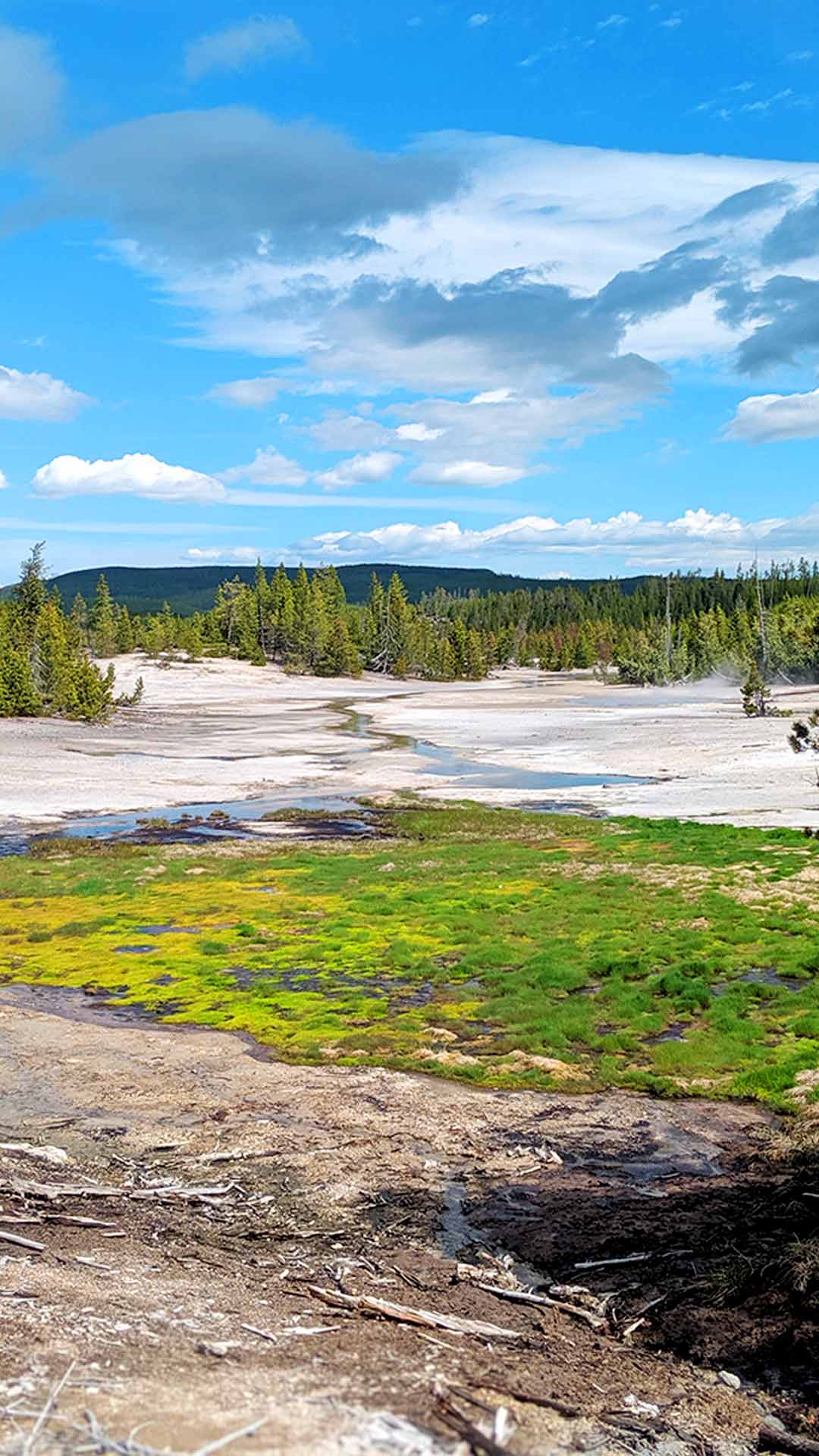 Yellowstone Norris geyser basin back basin landscape image