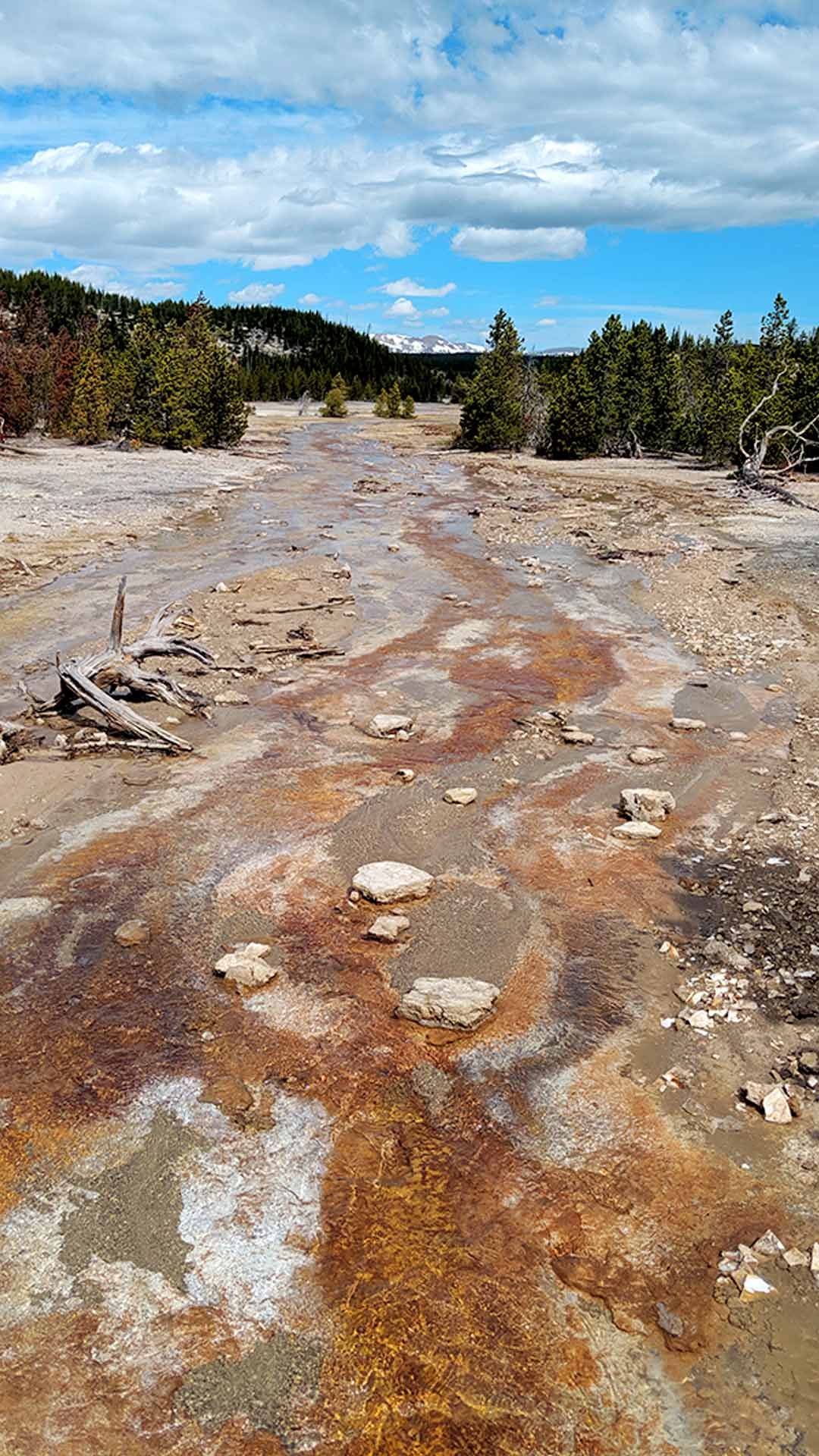 Yellowstone Norris geyser basin back basin landscape image red colors