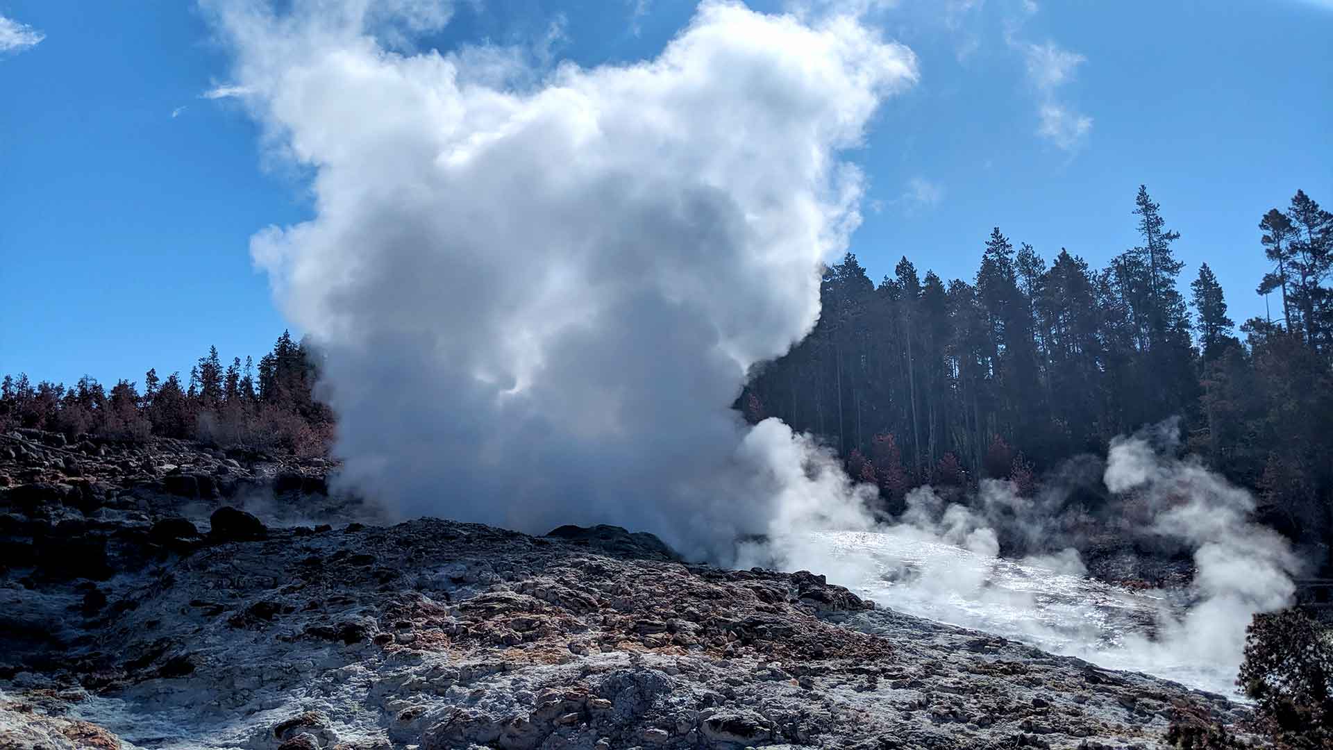 Yellowstone Norris geyser basin back basin steamboat geyser