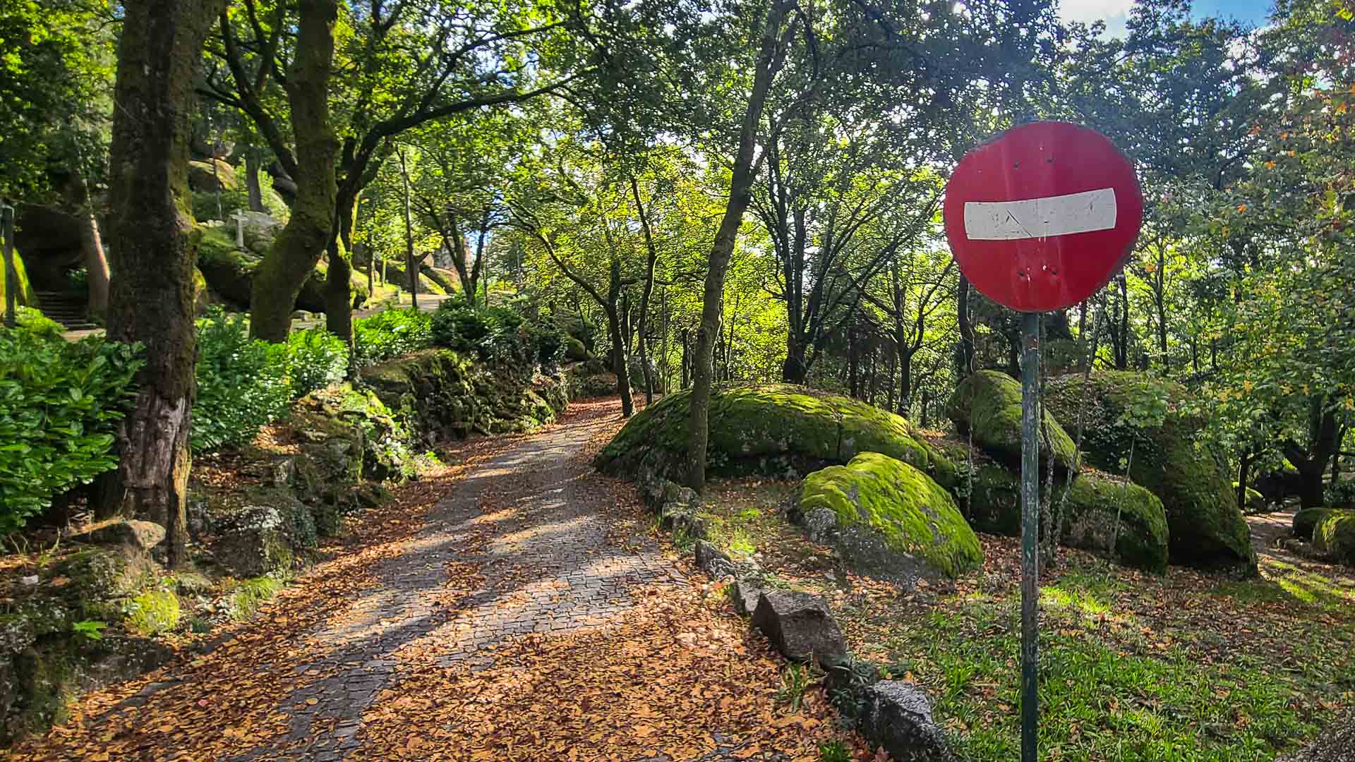 Guimaraes Travel Guide Image of Parque Campismo da Penha trails at top of Penha Sanctuary