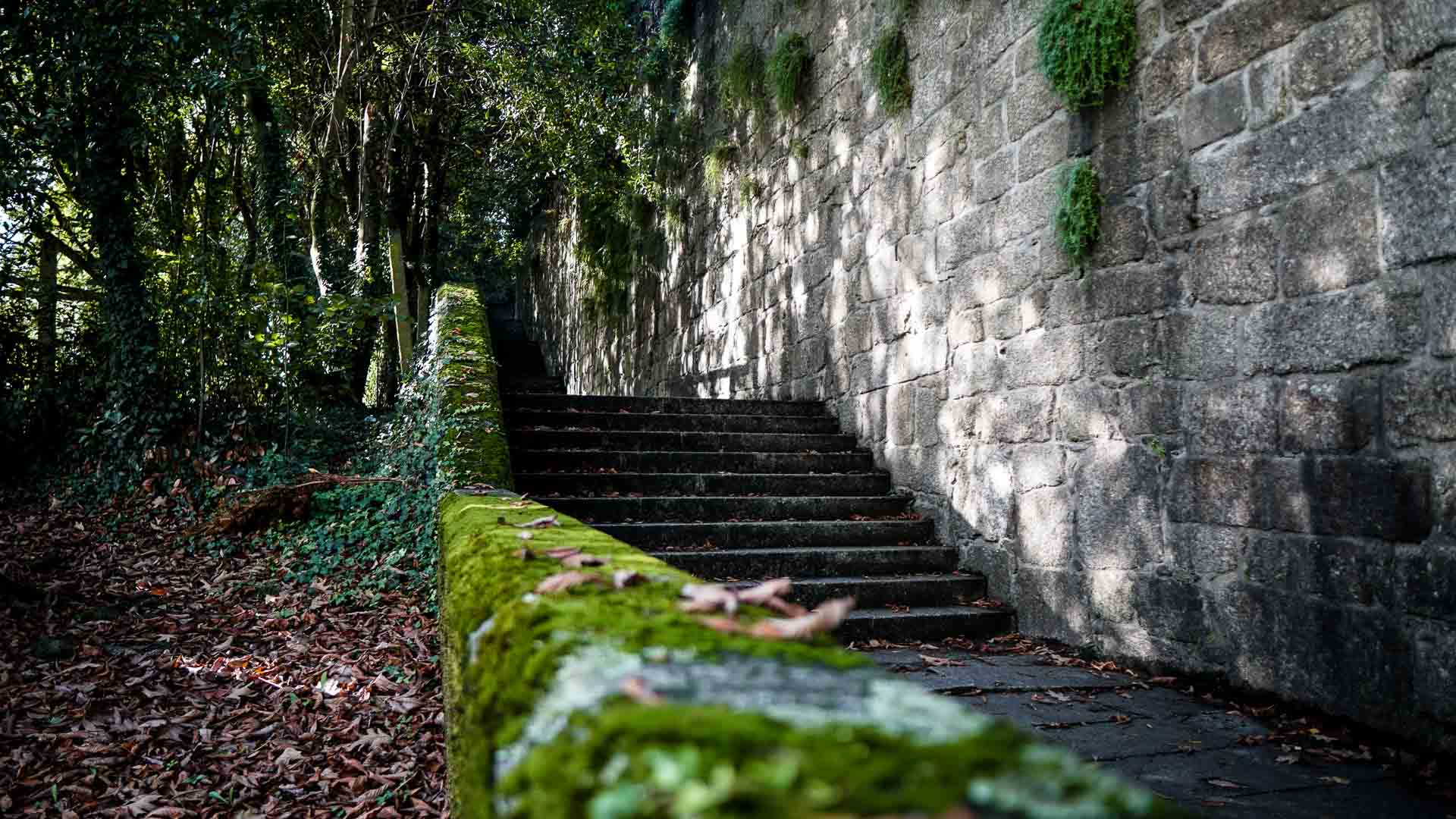 Guimaraes Travel Guide Image of Guimaraes Castle exterior garden steps