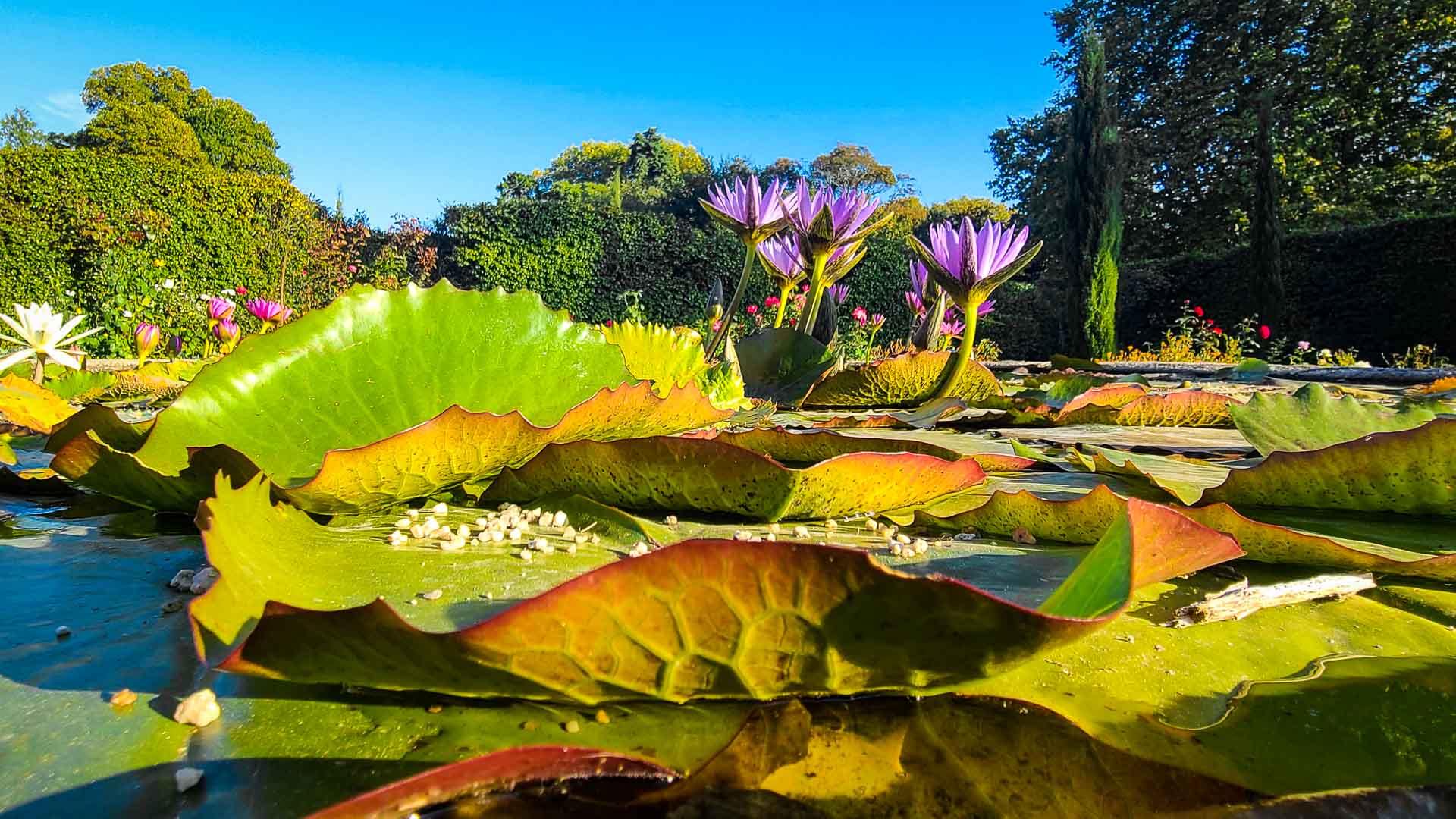 Porto Portugal photo of The Jardim Botânico do Porto