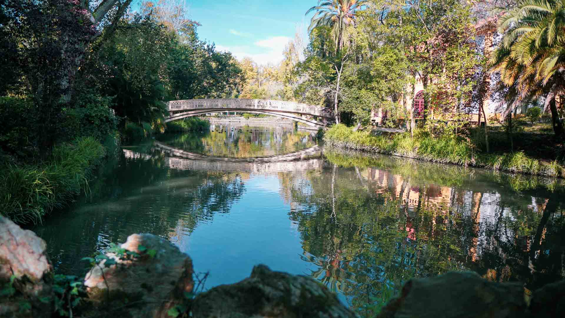 The Nomad Experiment Aveiro Portugal Park And Pond