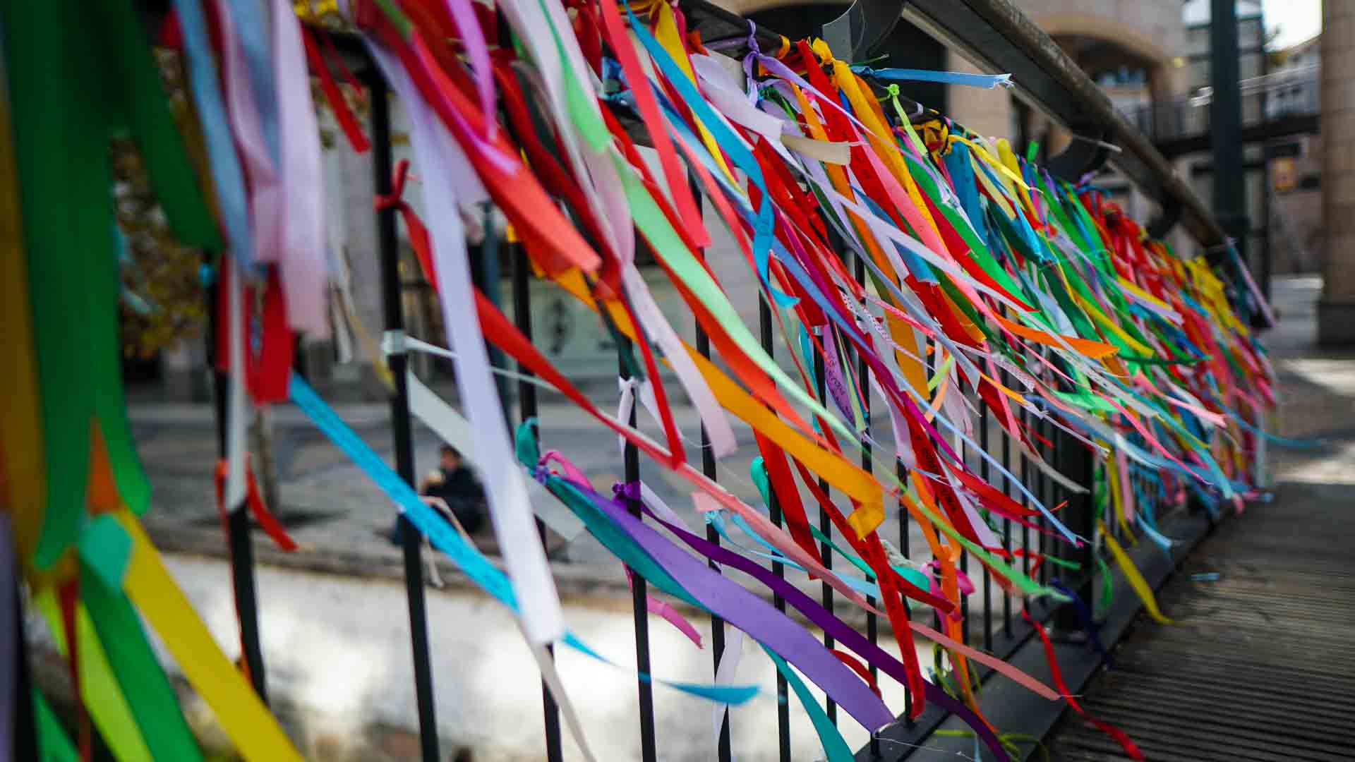 The BEST Aveiro Tours and Things to Do in 2023 - FREE Cancellation