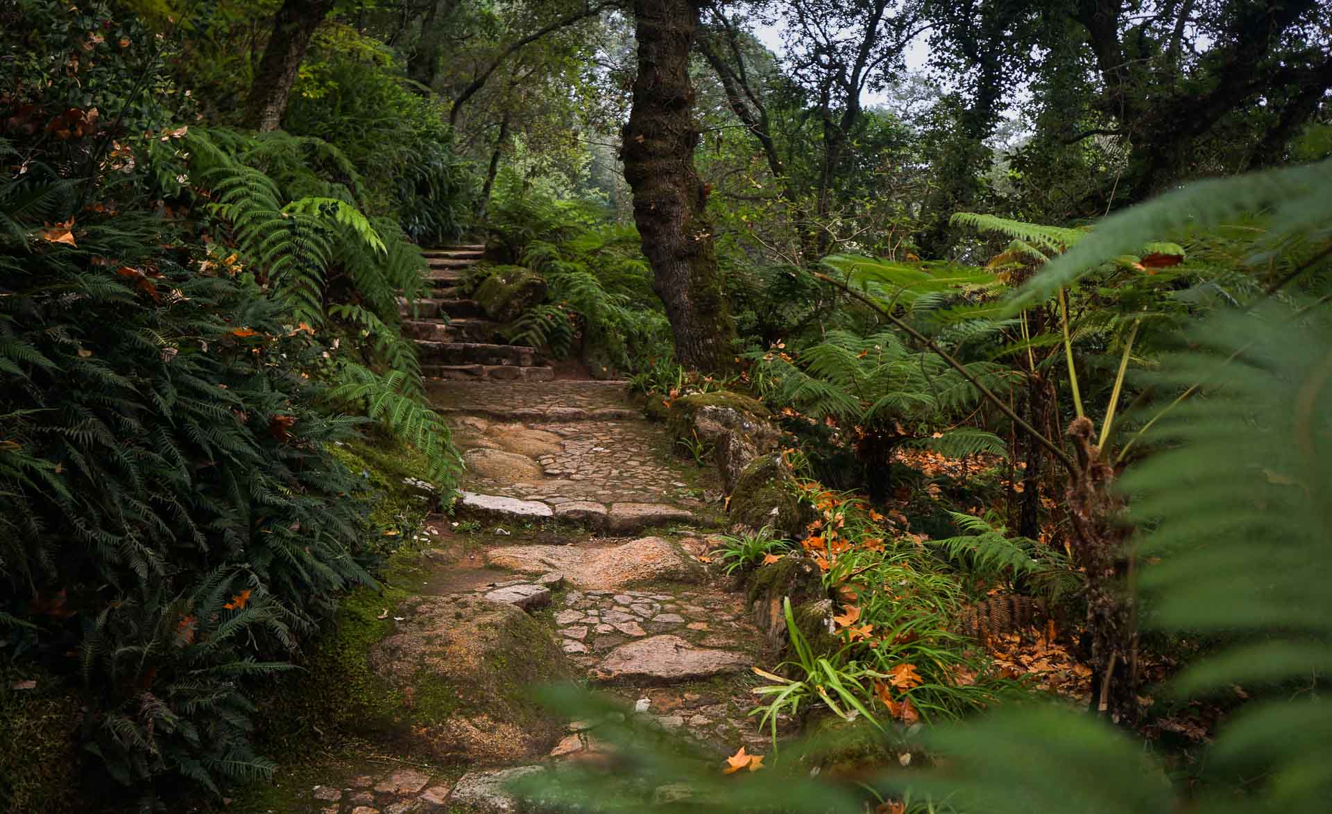 Monserrate Palace Garden Trails in Sintra Portugal Travel Guide