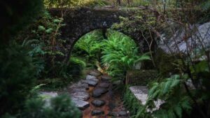 Pena Palace Gardens Ferns in Sintra Portugal