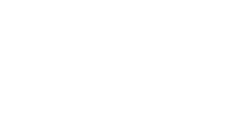 The Nomad Experiment Travel Blog Logo Vertical Transparent