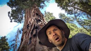 Jason The nomad experiment redwoods national park