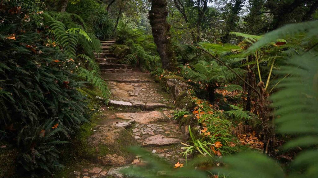 Photo of a Pathway in the gardens at Monserrate Palace in Sintra Portugal