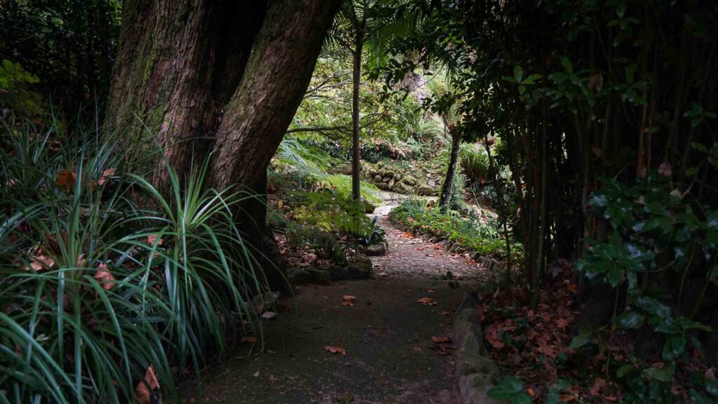 Photo of a Pathway in the gardens at Monserrate Palace in Sintra Portugal