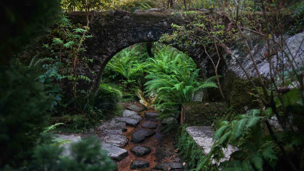 Pena Palace Garden Fern Bridge Path Sintra Portugal