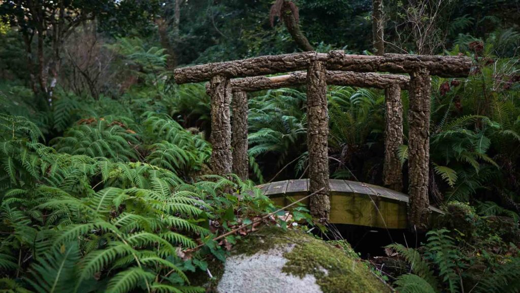 Pena Palace Garden Fern Bridge Sintra Portugal