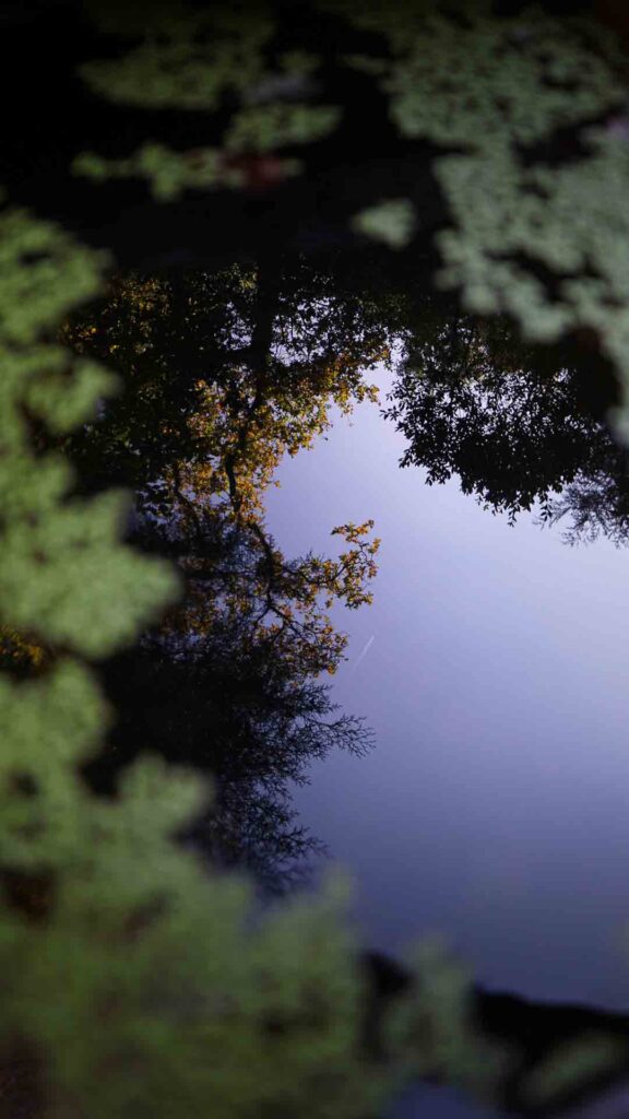 Pena Palace Garden Pool Reflection Sintra Portugal