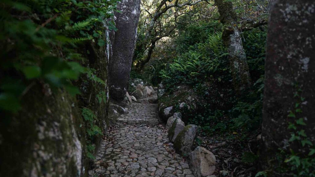 Pena Palace Gardens Path Sintra Portugal