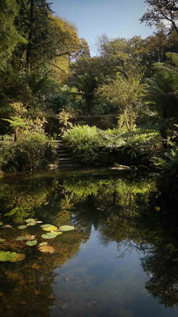 Pena Palace Gardens Pond And LilyPads Sintra Portugal