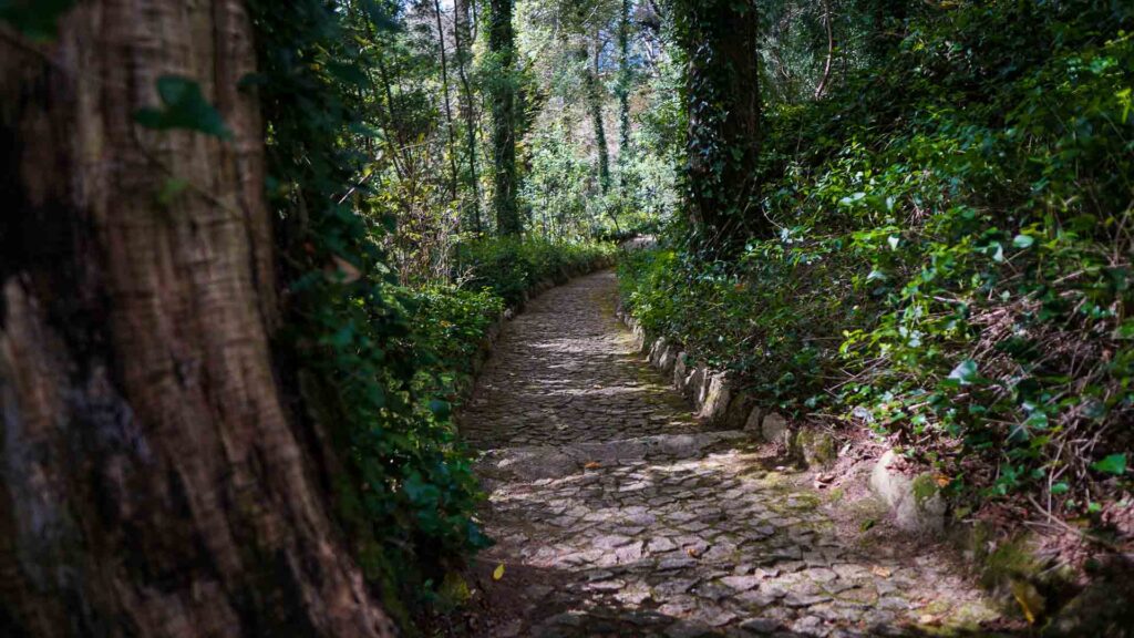 Pena Palace Gardens Path Sintra Portugal