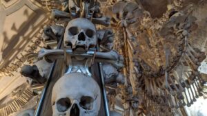 Detailed photo of the centerpiece at the Sedlec Ossuary Bone Church