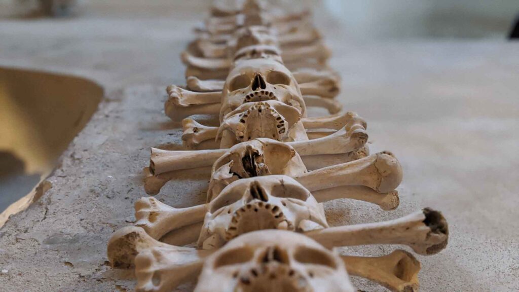 detailed photo of skulls and bones at the Bone Church in Kutna Hora